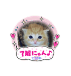 ヒロキだよ①（個別スタンプ：1）