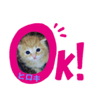 ヒロキだよ①（個別スタンプ：2）