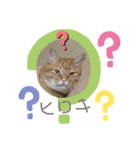 ヒロキだよ①（個別スタンプ：6）