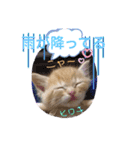 ヒロキだよ①（個別スタンプ：7）