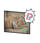 ヒロキだよ①（個別スタンプ：12）