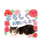 ファニーなニャンズ 2021 卒業にゃんこ3（個別スタンプ：2）