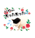 ファニーなニャンズ 2021 卒業にゃんこ3（個別スタンプ：10）