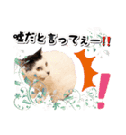 ファニーなニャンズ 2021 卒業にゃんこ3（個別スタンプ：13）