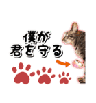 ファニーなニャンズ 2021 卒業にゃんこ3（個別スタンプ：15）