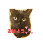 黒猫のくーちゃんとはなちゃん2（個別スタンプ：4）