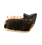 黒猫のくーちゃんとはなちゃん2（個別スタンプ：8）