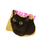 黒猫のくーちゃんとはなちゃん2（個別スタンプ：13）
