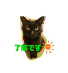 黒猫のくーちゃんとはなちゃん2（個別スタンプ：16）