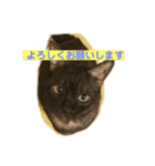 黒猫のくーちゃんとはなちゃん2（個別スタンプ：20）