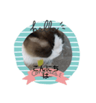 けひ（個別スタンプ：1）