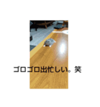 けひ（個別スタンプ：3）