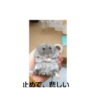 けひ（個別スタンプ：4）