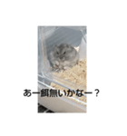 けひ（個別スタンプ：5）