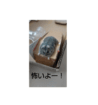 けひ（個別スタンプ：7）