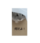 けひ（個別スタンプ：9）