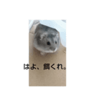 けひ（個別スタンプ：12）