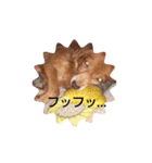 チワックスのクッキーちゃん5（個別スタンプ：13）