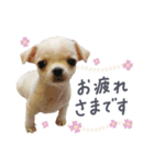 Heart_alu  stamp（個別スタンプ：4）