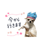 Heart_alu  stamp（個別スタンプ：6）