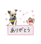 Heart_alu  stamp（個別スタンプ：7）