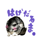 Hello, TAMA 2（個別スタンプ：6）