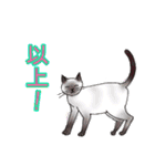 のんびりまったり猫との日常。②（個別スタンプ：4）