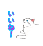 のんびりまったり猫との日常。②（個別スタンプ：5）