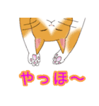 のんびりまったり猫との日常。②（個別スタンプ：10）