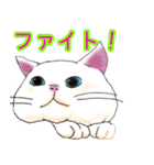 のんびりまったり猫との日常。②（個別スタンプ：11）