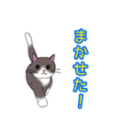 のんびりまったり猫との日常。②（個別スタンプ：12）