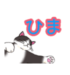 のんびりまったり猫との日常。②（個別スタンプ：20）