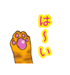 のんびりまったり猫との日常。②（個別スタンプ：21）