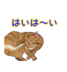 のんびりまったり猫との日常。②（個別スタンプ：22）