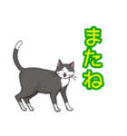のんびりまったり猫との日常。②（個別スタンプ：24）