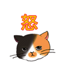 のんびりまったり猫との日常。②（個別スタンプ：29）
