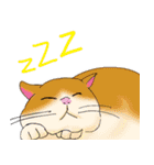 のんびりまったり猫との日常。②（個別スタンプ：35）