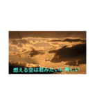 今日の夕日は君みたいに美しいよ！おんっ♪（個別スタンプ：1）