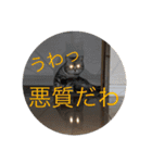 なんかたぶんなスタンプ（個別スタンプ：24）