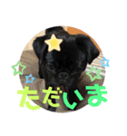 黒パグ飴ちゃんの日常パート2（個別スタンプ：18）