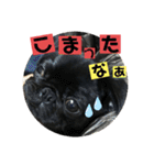黒パグ飴ちゃんの日常パート2（個別スタンプ：22）