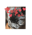 黒パグ飴ちゃんの日常パート2（個別スタンプ：35）