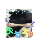 黒パグ飴ちゃんの日常パート2（個別スタンプ：38）