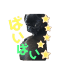 黒パグ飴ちゃんの日常パート2（個別スタンプ：40）
