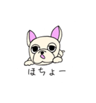 ぶるとぱぐ（個別スタンプ：1）