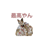 しょちょさんですか！？（個別スタンプ：21）