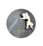 しょちょさんですか！？（個別スタンプ：29）