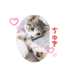 なちゅひこ2（個別スタンプ：5）