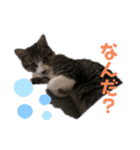 なちゅひこ2（個別スタンプ：8）