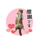 たいうにスタンプ（個別スタンプ：1）